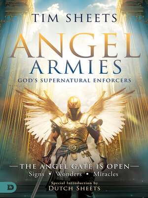 cover image of Angel Armies